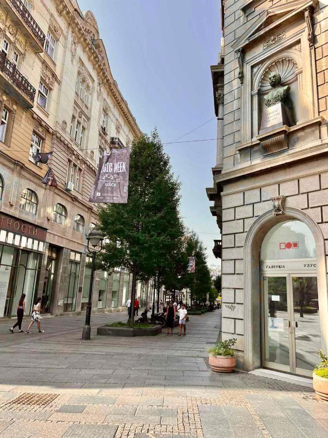 Appartamento Belgrade Heart Of A Historical Center Esterno foto
